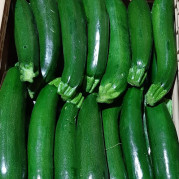 zucchine 3