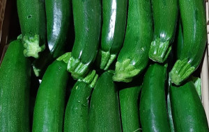 zucchine 3