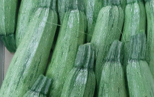 zucchine